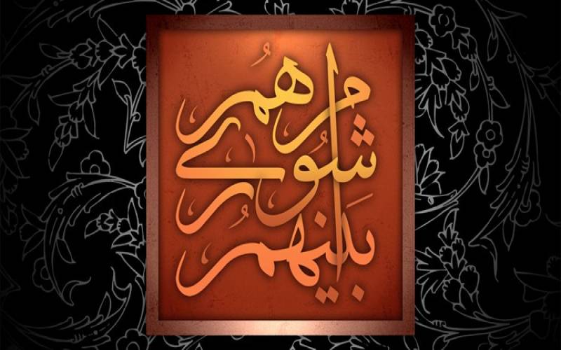 علیرضا نادری رئیس شورای شهر کرمان شد